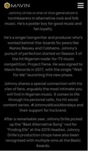 Long Paragraph Artist bio